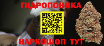 молекула духа Берёзовский