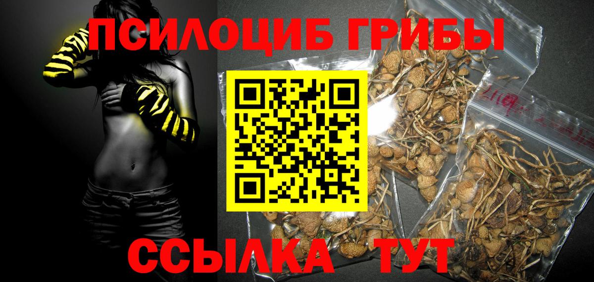 Галлюциногенные грибы Cubensis  Вход с VPN  Кинель  Галлюциногенные грибы Cubensis 